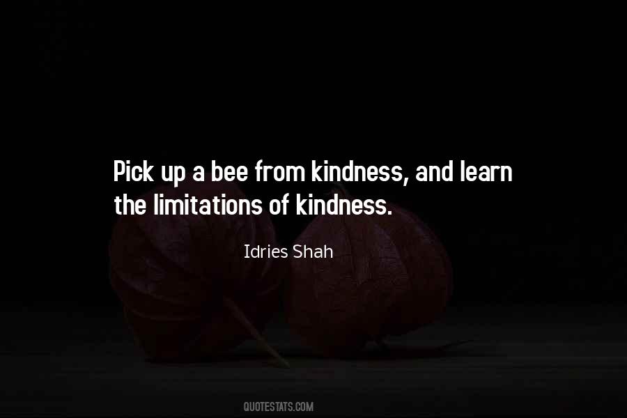 Sufi Wisdom Quotes #1603978