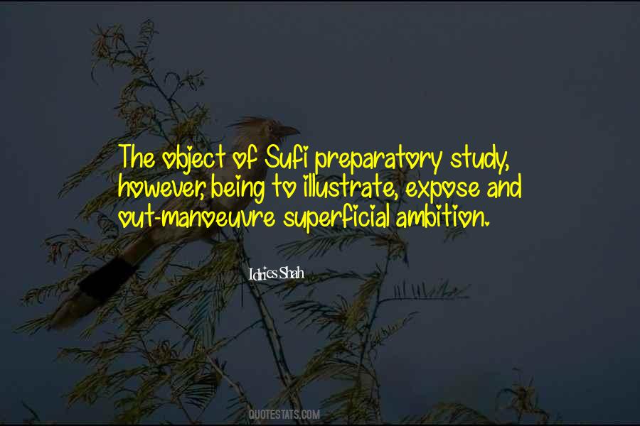 Sufi Wisdom Quotes #1765635