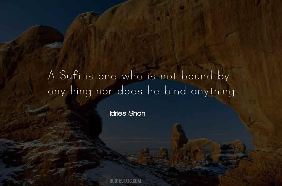 Sufi Wisdom Quotes #313410