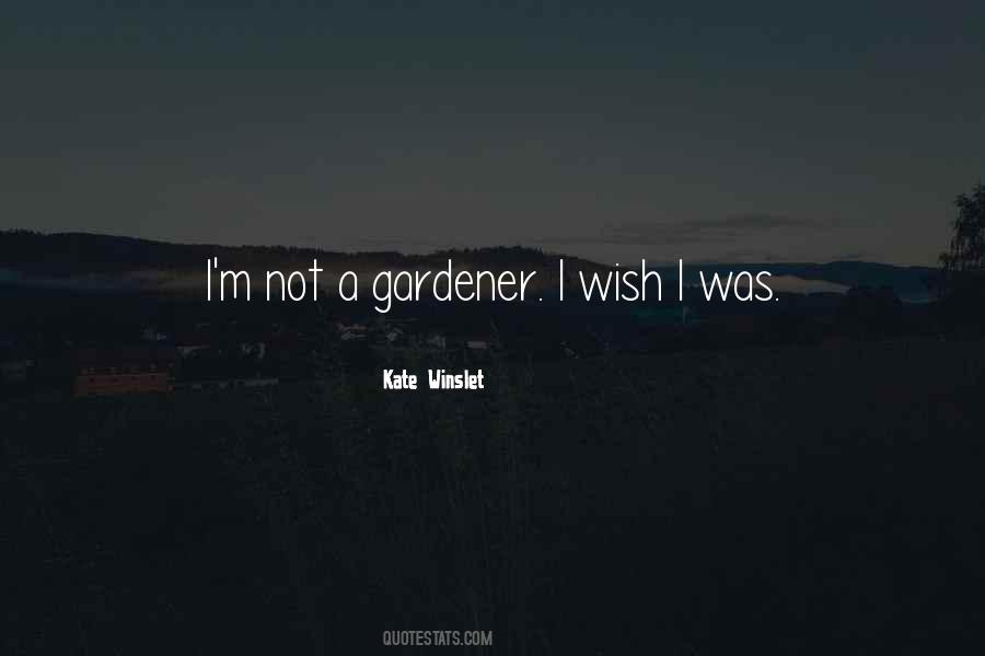 I Wish I Was Quotes #1174944