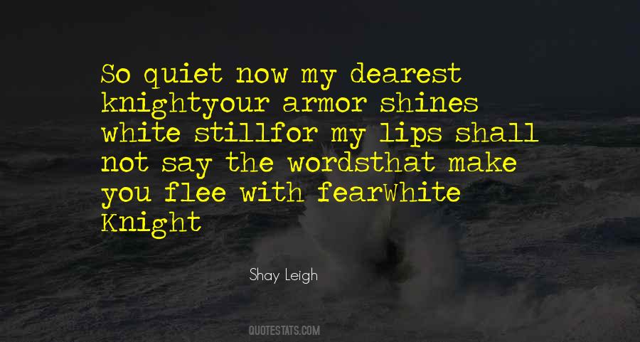 Best Armor Quotes #83408