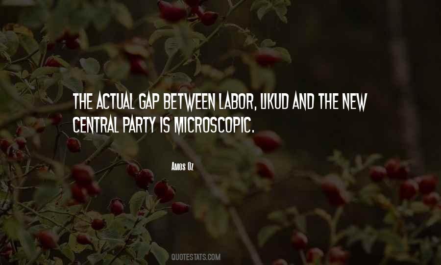 Likud Party Quotes #868719