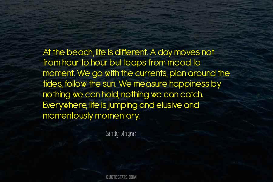 Happiness Plan Quotes #705757