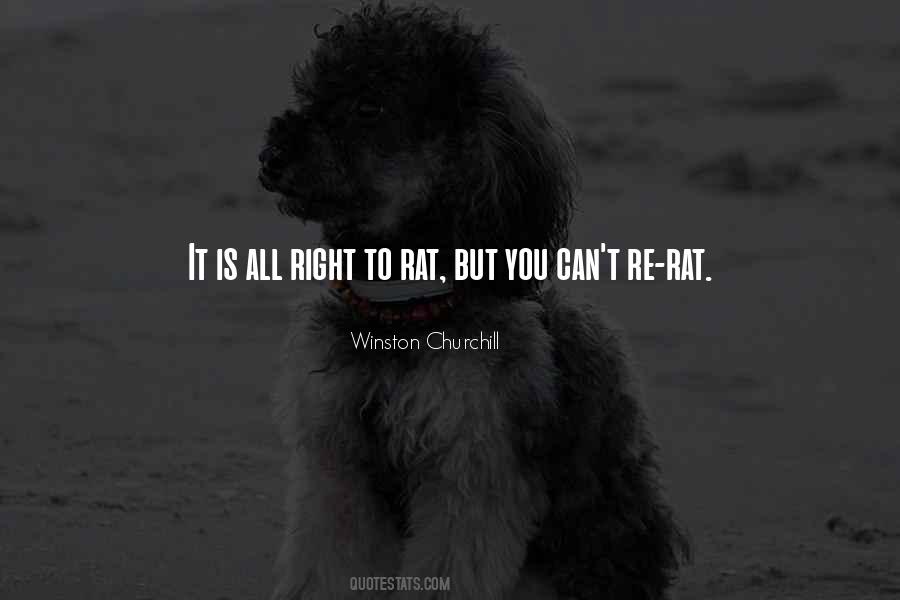Rubaiyat Author Quotes #77228