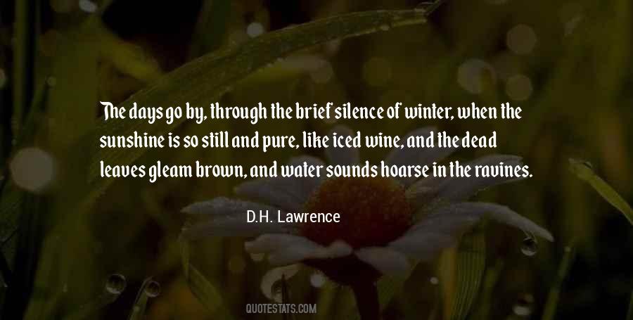 Gleam Of Sunshine Quotes #1255716