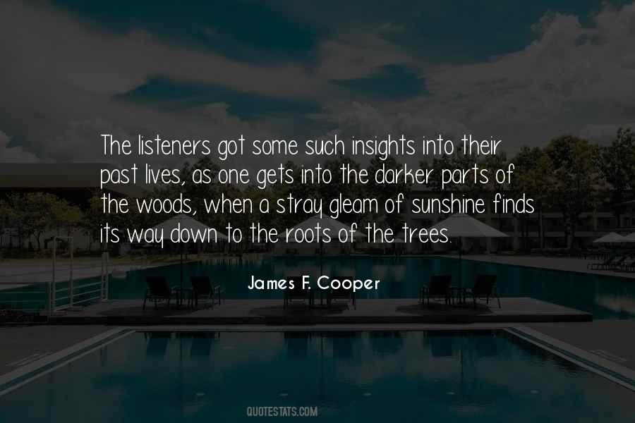 Gleam Of Sunshine Quotes #641356