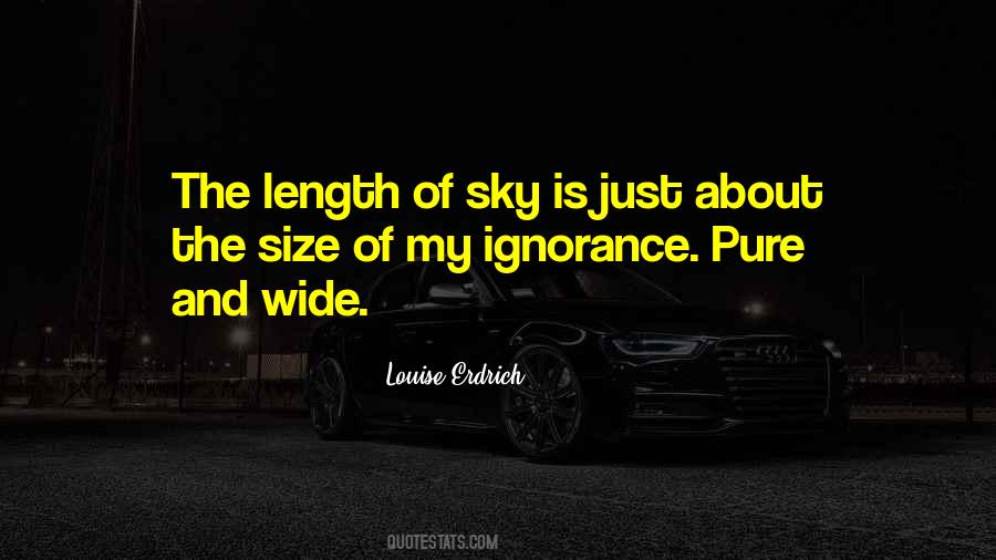Sky Is Quotes #1130093