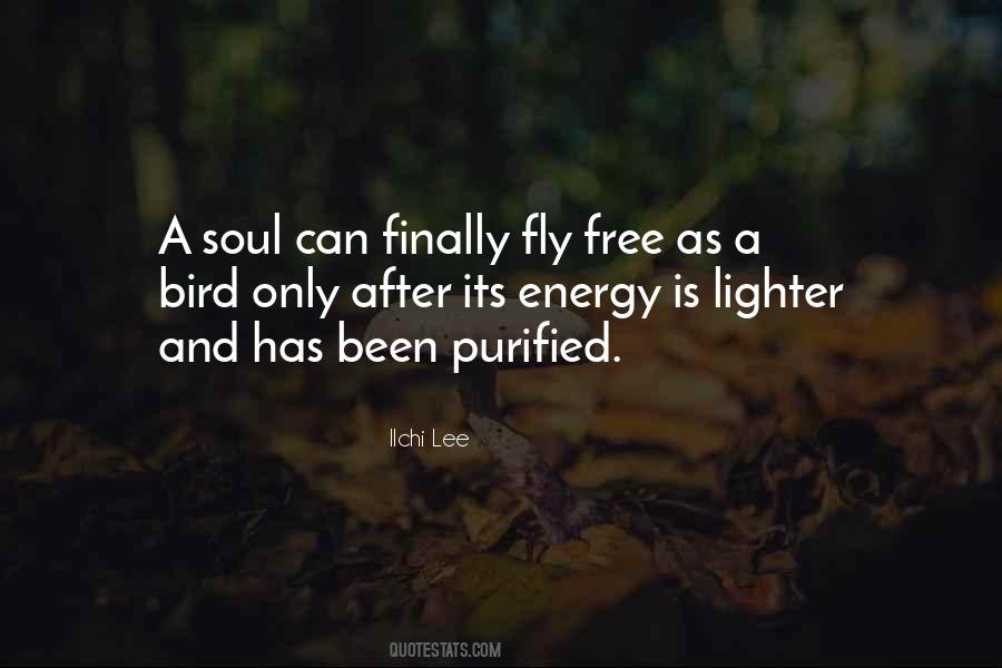 Fly Free Quotes #1345810
