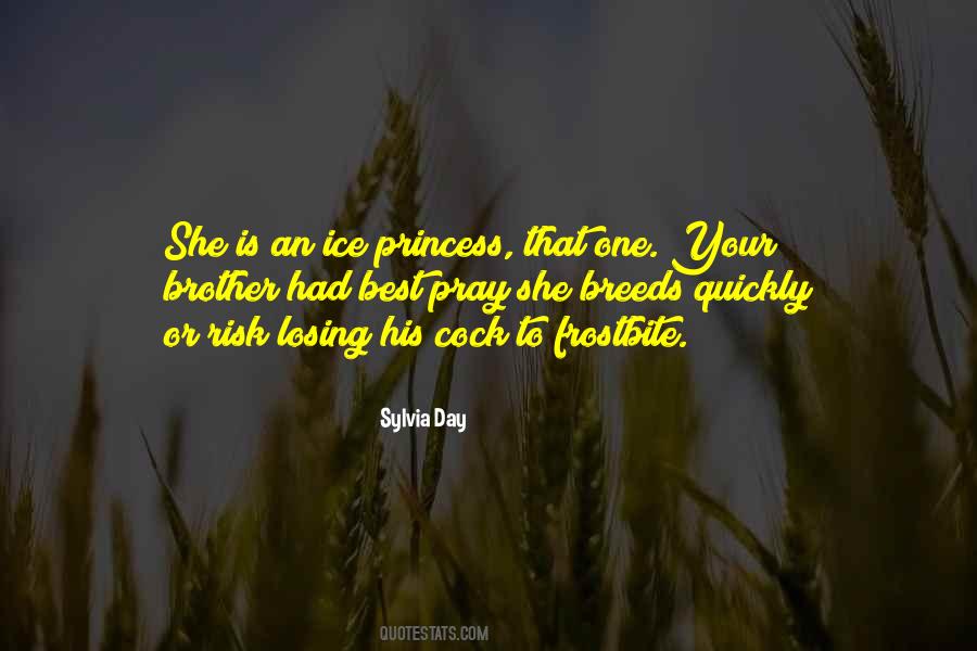 Best Brother Quotes #100239