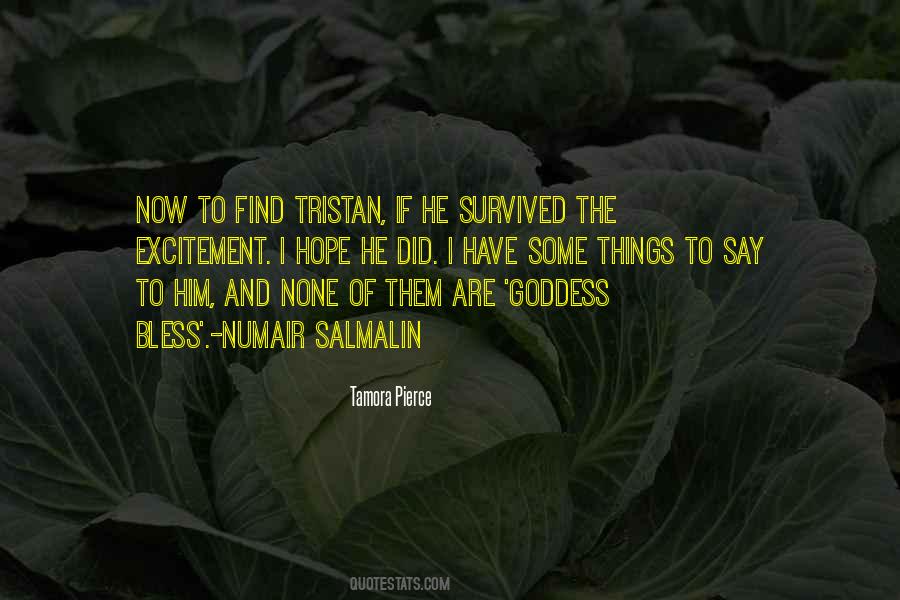I Have Survived Quotes #647311