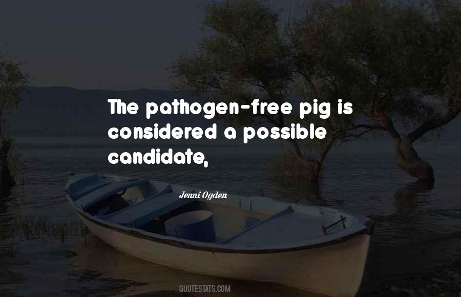 Best Candidate Quotes #127888