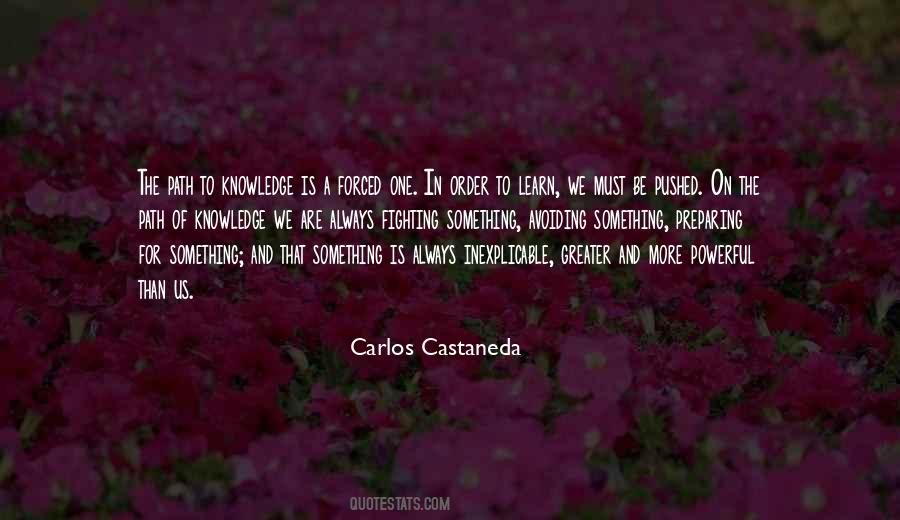 Best Castaneda Quotes #284234