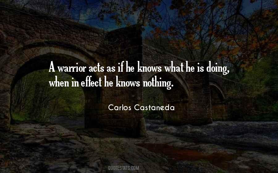 Best Castaneda Quotes #393522