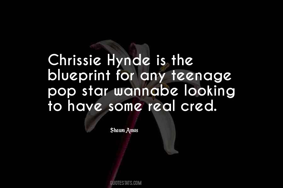 Best Chrissie Hynde Quotes #823666