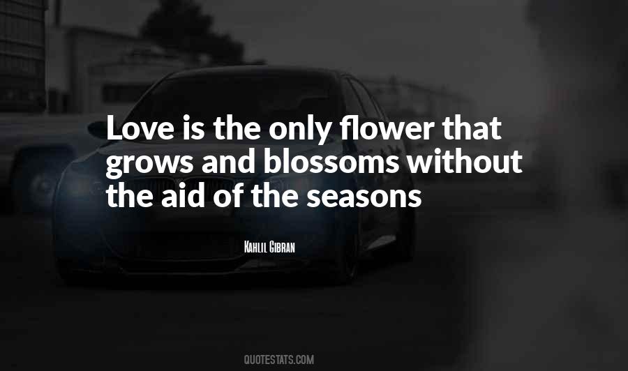 Love Flower Quotes #23150