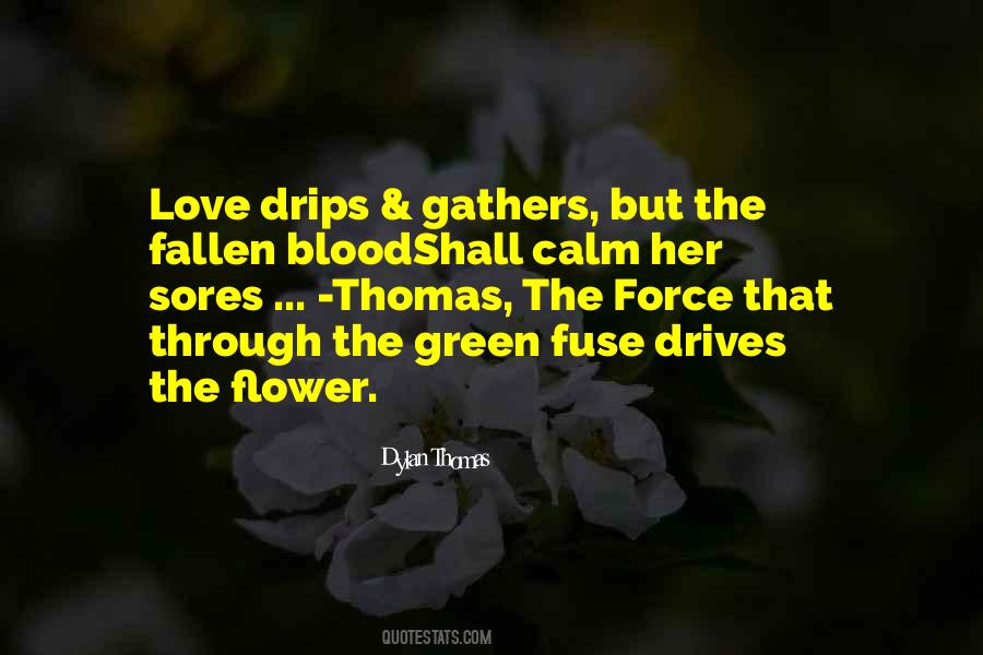 Love Flower Quotes #429435