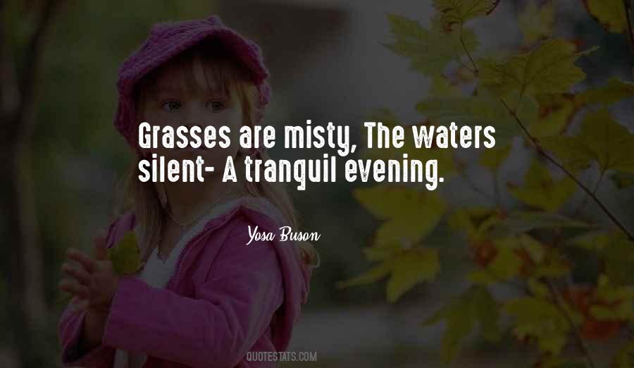 Tranquil Evening Quotes #498294