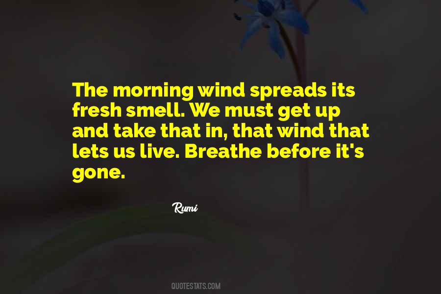 Best Data Visualization Quotes #844517
