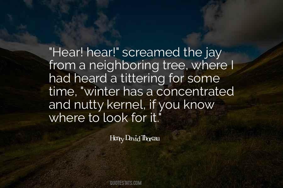Where To Look Quotes #1533266