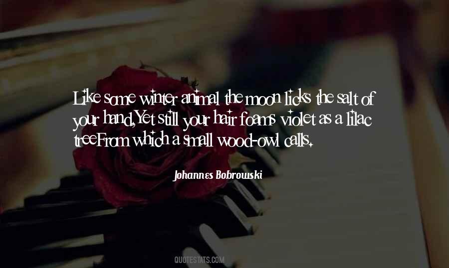 Bobrowski Quotes #573481