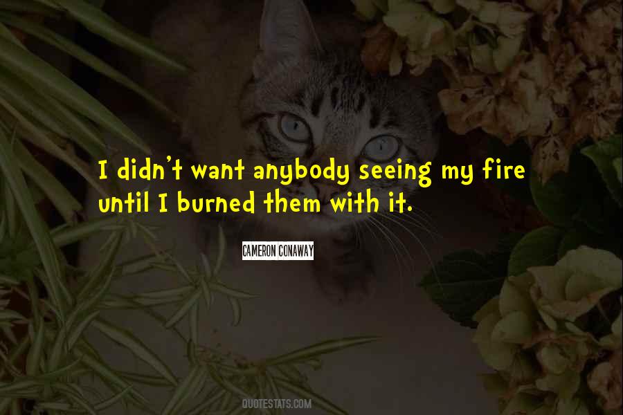 Passion Fire Quotes #35084