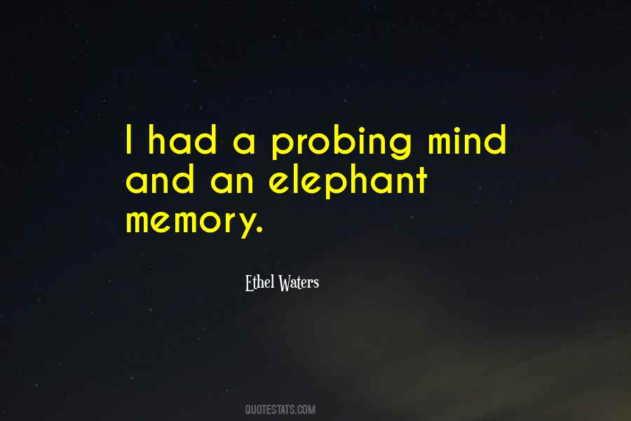 Best Elephants Quotes #191577