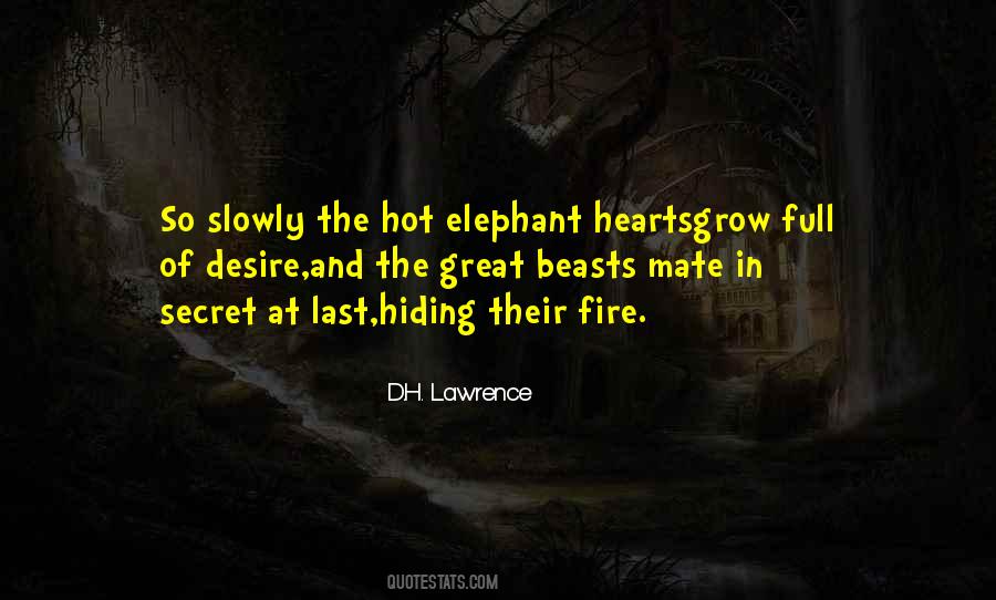 Best Elephants Quotes #37501