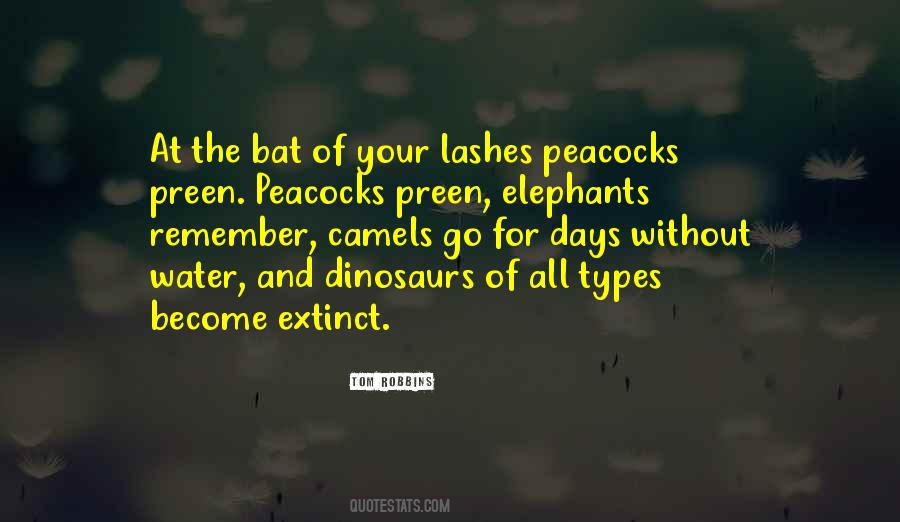Best Elephants Quotes #88247