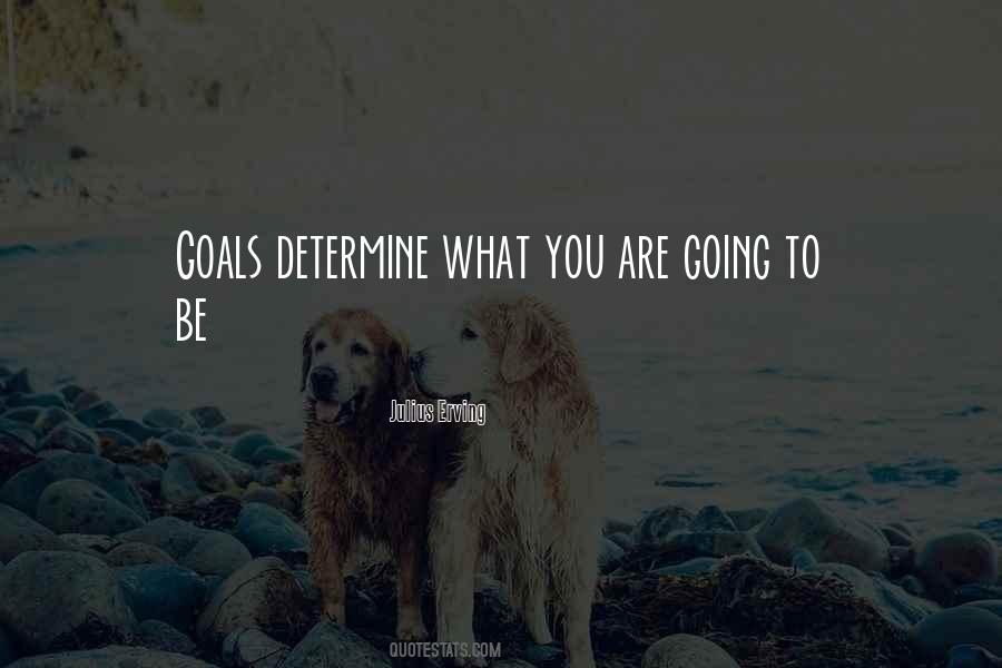 Goals Determine Quotes #961125