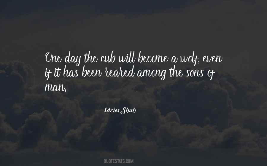 Sufi Proverb Quotes #1078510