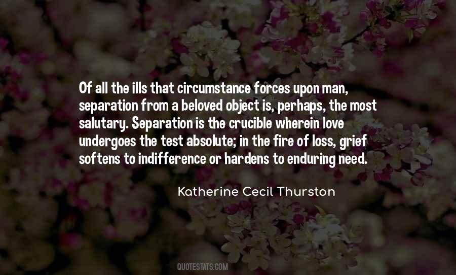 Loss Grief Quotes #70262