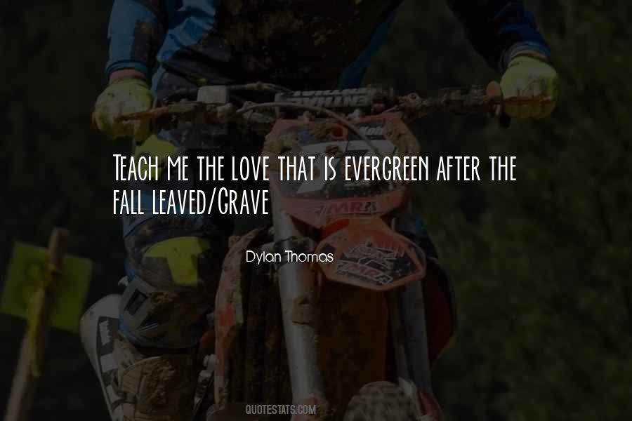 Best Evergreen Love Quotes #504616