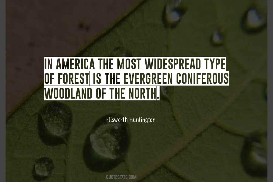 Best Evergreen Quotes #937629