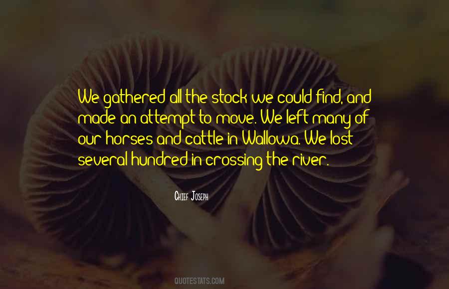 All Horses Quotes #406058