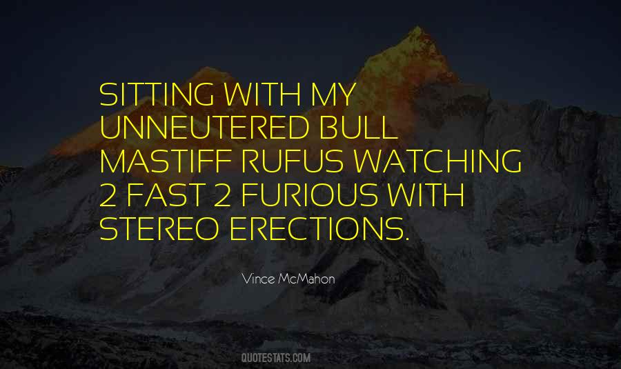 Best Fast Furious Quotes #1277847