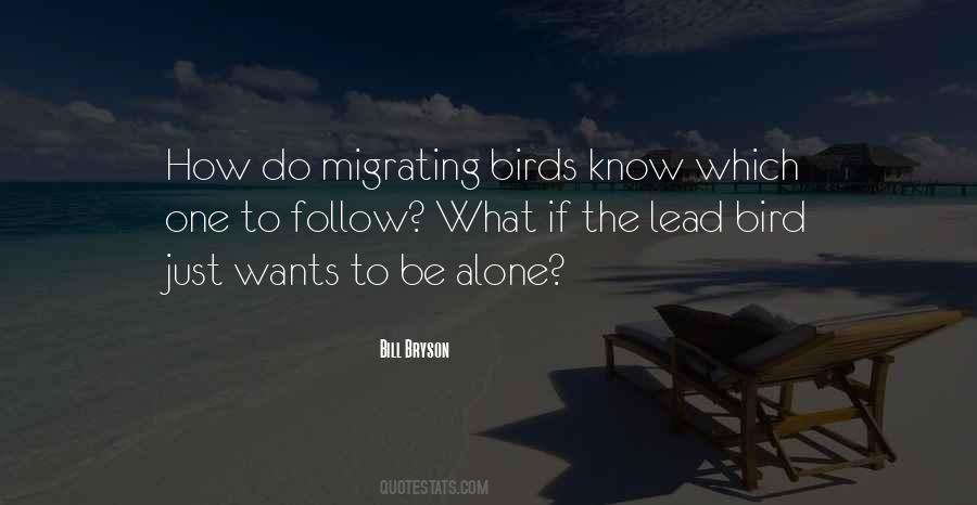 Kniffen Nova Quotes #66358