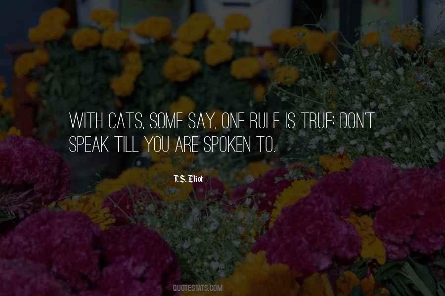 Rule Is Quotes #1099794