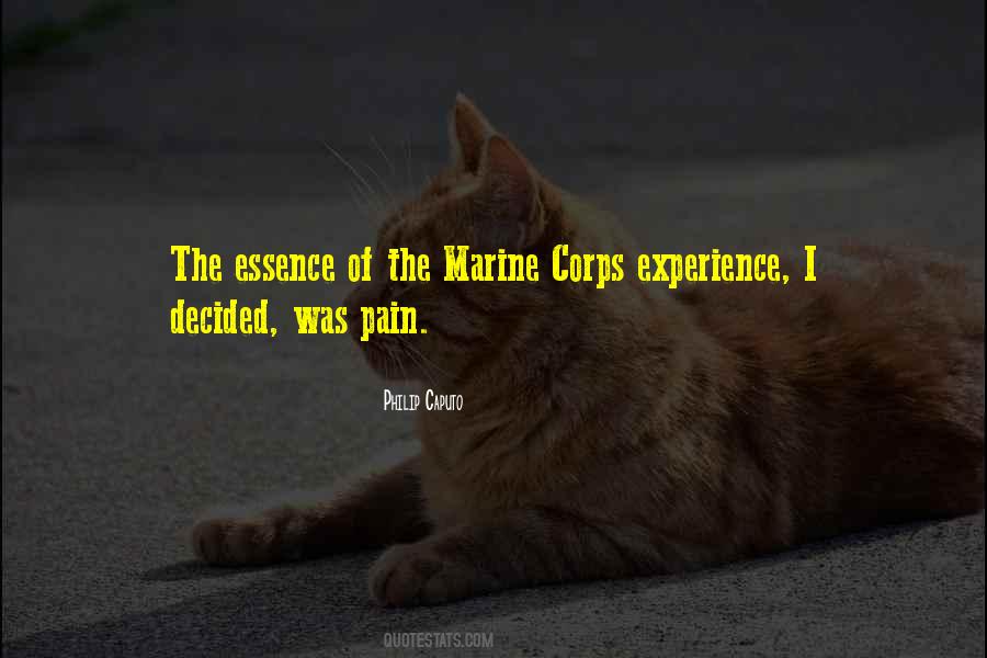 Military Experience Quotes #538723