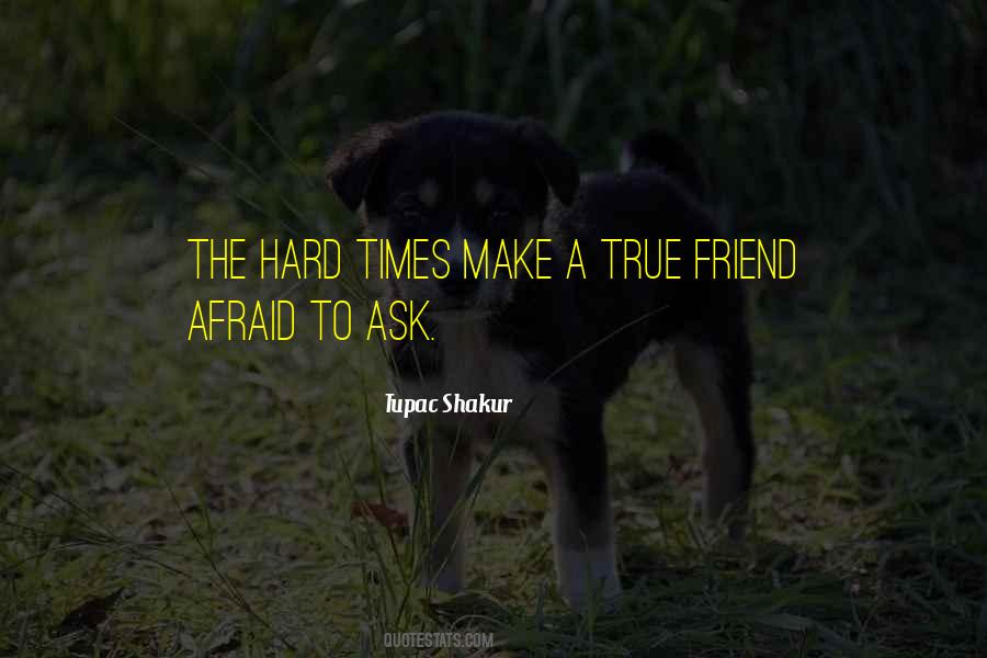 Best Friend And True Friend Quotes #33520