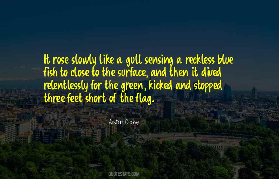 Blue Rose Quotes #980439