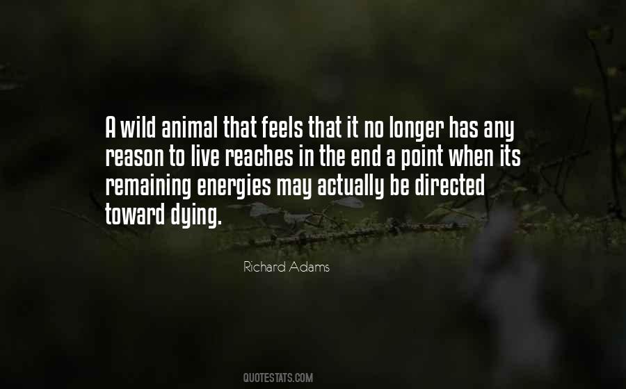 Wild Animal Quotes #1407408