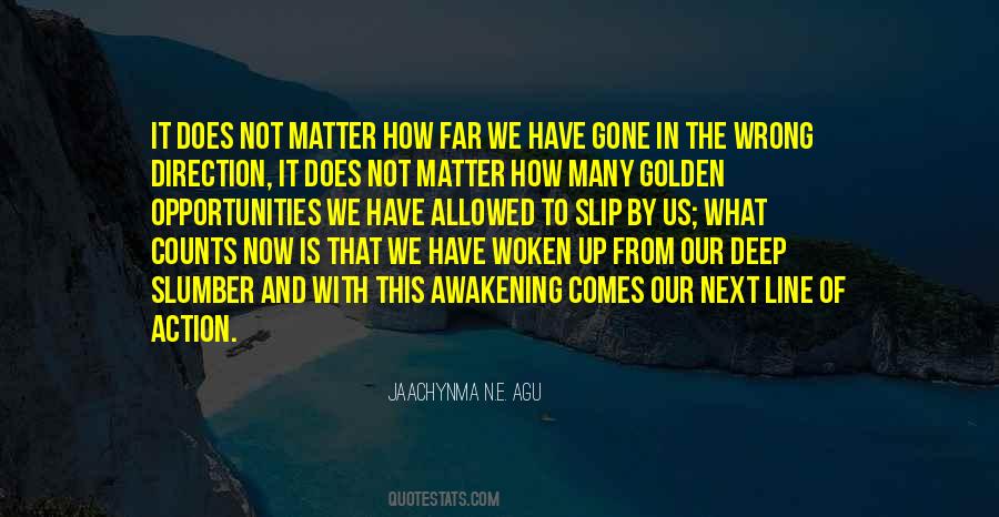Agu Jaachynma N E Quotes #59862