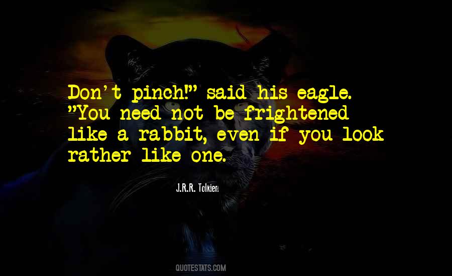 Best Frightened Rabbit Quotes #1536983
