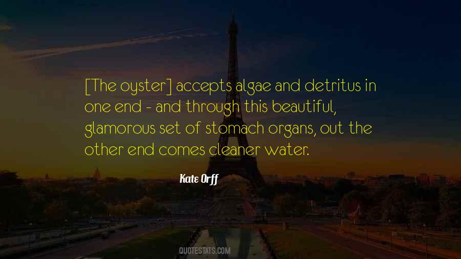 Beauty 76 Quotes #412560