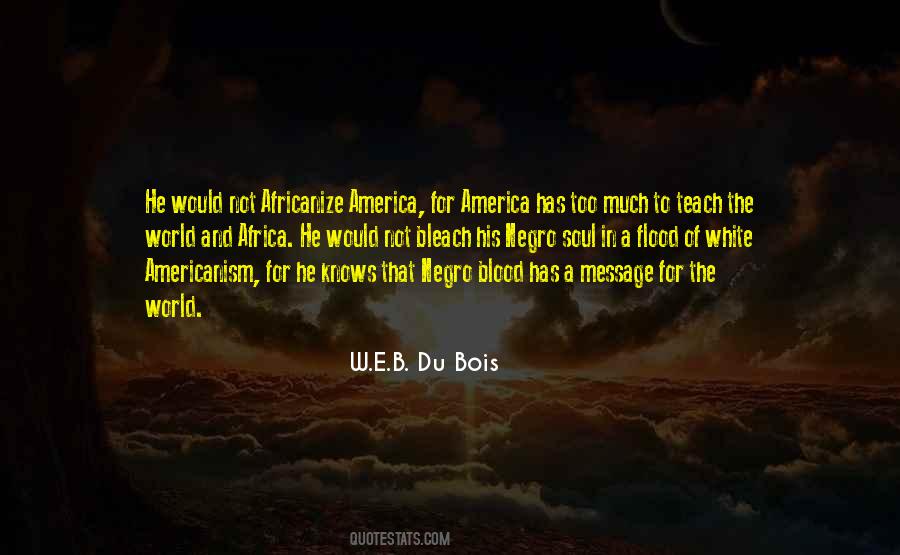 Soul Of America Quotes #632799
