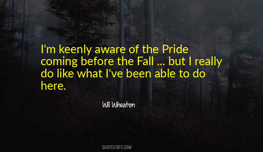 Pride Goes Before Fall Quotes #1109365