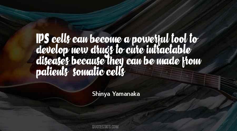 Branimira Borcic Nemec Quotes #212958