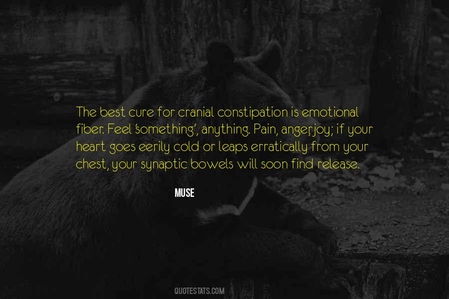Best Heart Pain Quotes #1849200