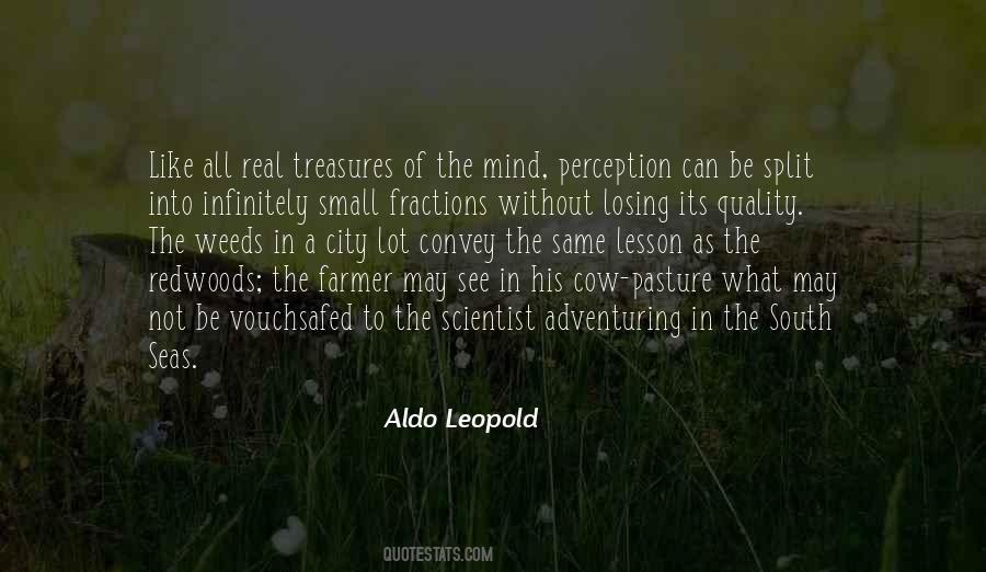 Treasures Of The Quotes #210877