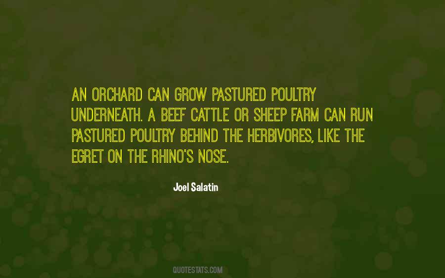 Poultry Farm Quotes #1133682